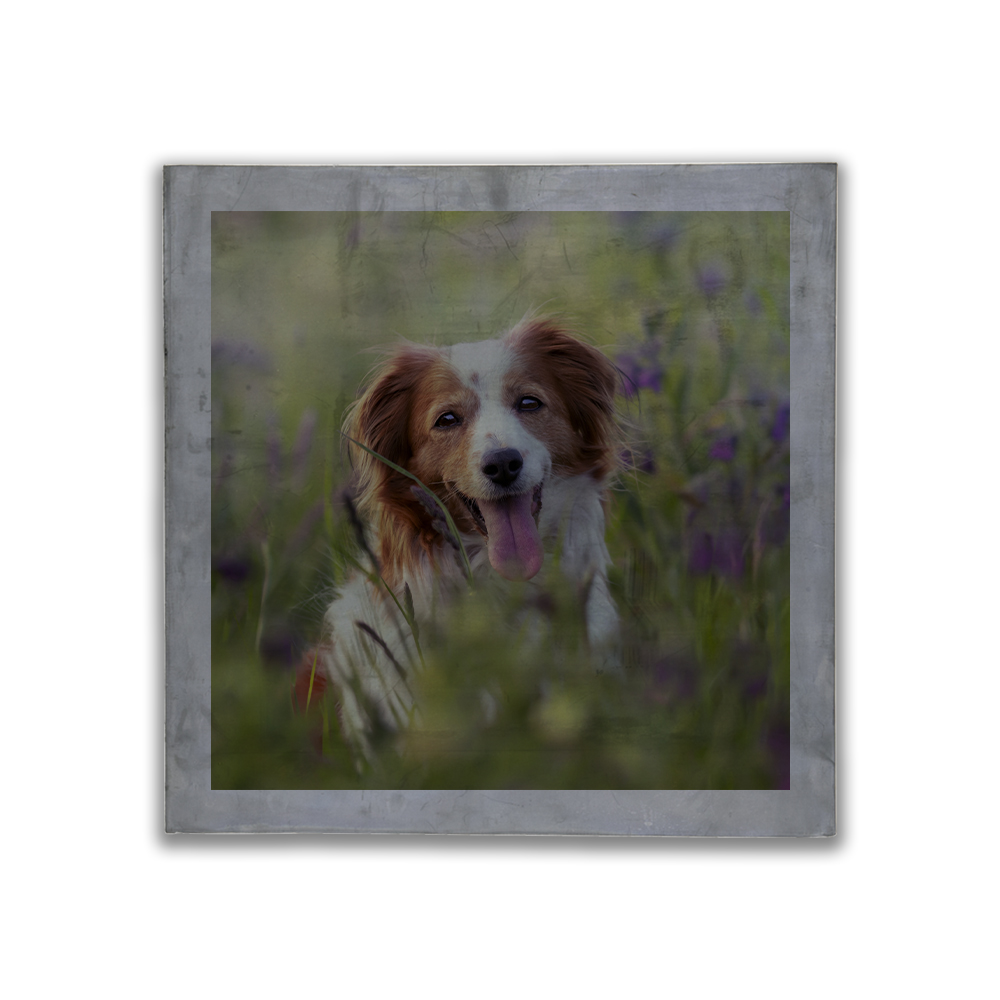 Plaque plomb 450 x 450 x 7 mm personnalisable & sa housse – Image 5