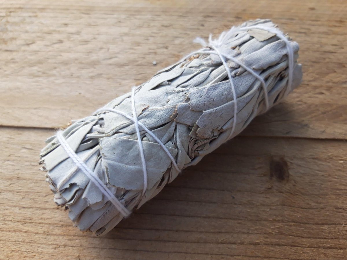 Fagot Sauge Blanche 25-30g 10cm